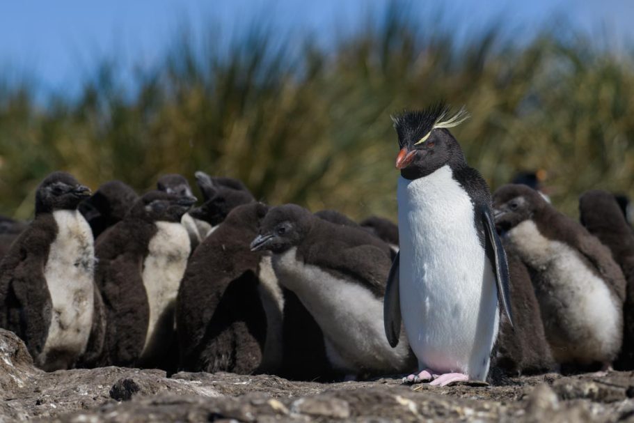Kindergärtner bei der Arbeit